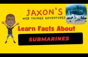 The Hidden Wonders of Submarines: Discover the Untold Facts! Learn and Explore Submarines