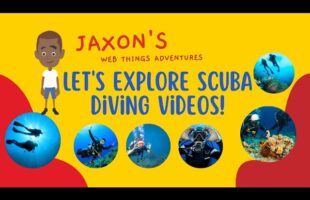 Let’s Explore Scuba Diving! Scuba Diving Wonders Revealed: Mind-Blowing Photos & Videos