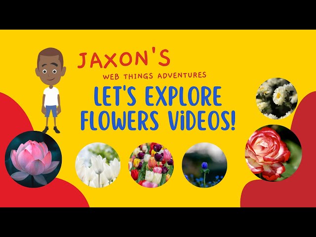 Witness the Captivating Beauty of Flowers Blooming in Time-Lapse