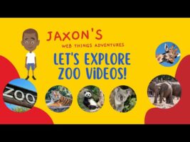 Let’s Explore Jaxon’s Zoo Adventures with Amazing Animal Videos