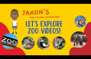 Let’s Explore Jaxon’s Zoo Adventures with Amazing Animal Videos