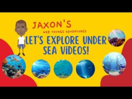 Let’s Explore Under Sea Videos-Jaxon’s Webthings Adventures Under the Ocean Video Show. Let’s Watch!