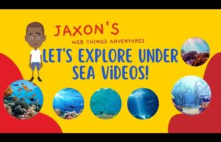 Let’s Explore Under Sea Videos-Jaxon’s Webthings Adventures Under the Ocean Video Show. Let’s Watch!