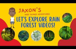 Let’s Explore Rainforest Videos – Jaxon’s Webthings Adventures RainForest Video Show. Let’s Watch!