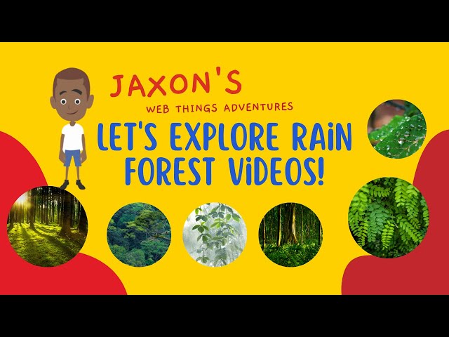 Let’s Explore Rainforest Videos – Jaxon’s Webthings Adventures RainForest Video Show. Let’s Watch!